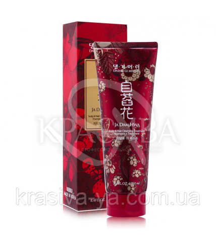 DAENG GI MEO RI Ja Dam Hwa Scalp & Hair Cleansing Shampoo+ Treatment - Шампунь-кондиционер, 250мл - 1