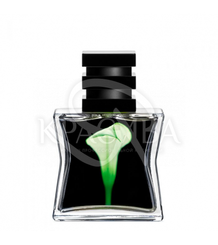 Парфюмированная вода № 22 Green - 1