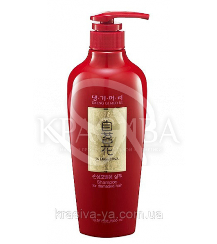 DAENG GI MEO RI Ja Dam Hwa Shampoo for Damaged Hair Шампунь для пошкодженого волосся 500мл - 1