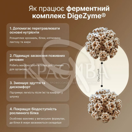 Щоденний веганський протеїн - 4