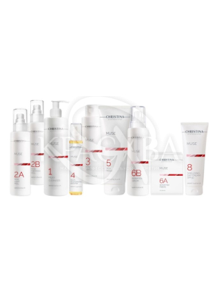 Профессиональный набор (Шаги 1,2A,2B,3,4,5,6A,6B,8) : 