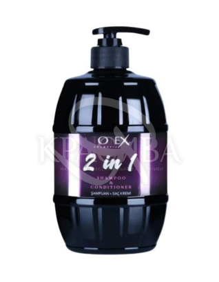 Шампунь-кондиционер для волос 2в1 : Косметика для волос