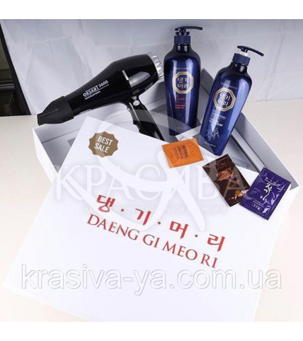 DAENG GI MEO RI ChungEun Kit Подарочный набор ( шампунь 500 мл + кондиционер 500 мл + профессиональный фен) - 1