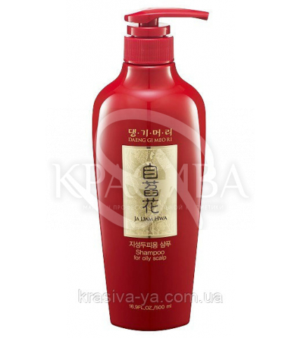 DAENG GI MEO RI Ja Dam Hwa Shampoo for Oily Scalp Шампунь для жирної шкіри голови, 500мл - 1