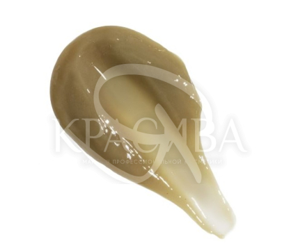 Концентрат водорослей - 2