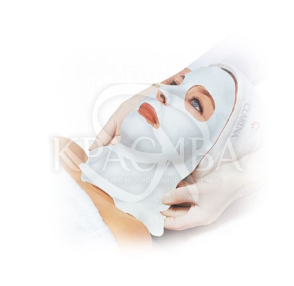 Пластифікуюча альгінатна маска з слизової равлика - 2