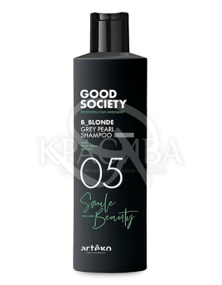 Відтінковий шампунь з попелясто-сірою пігментацією : Косметика для волосся: Artego