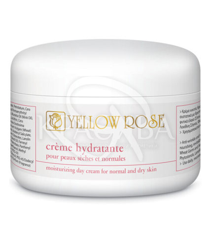 Увлажняющий дневной крем для нормальной и сухой кожи - 1