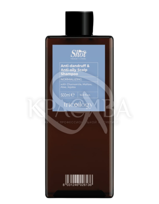 Шампунь против перхоти для жирной кожи головы : Шампунь для волос