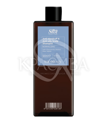 Шампунь проти лупи для жирної шкіри голови - 1