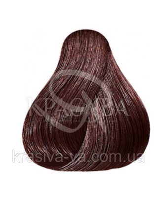 C:Color Крем-фарба 56-сандал, (крем-фарба 50 мл, пероксан 50 мл, бальзам 10 мл) : Косметика для волосся