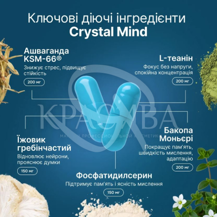 Фокус і стресостійкість - 3