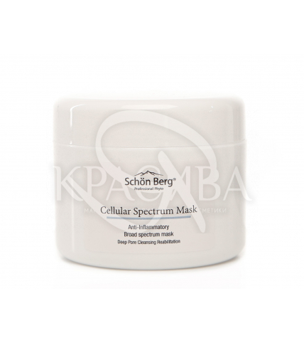 Реабілітаційна маска широкого спектру дії для проблемної шкіри - після чистки - 1