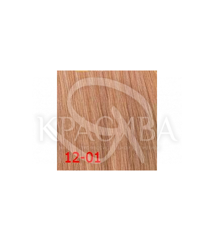 HC InBlonde Крем-краска 12.01 прозрачно-пепельный, 100 мл - 1
