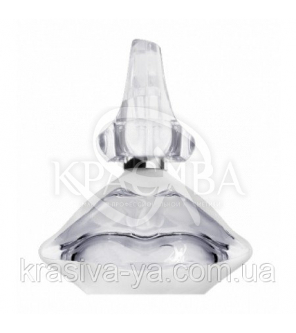 Dali Classic Tester (EDT) Туалетная вода 2011 г., 100 мл - 1