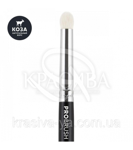 Sinart 17 - Probrush (коза) для глаз - 1